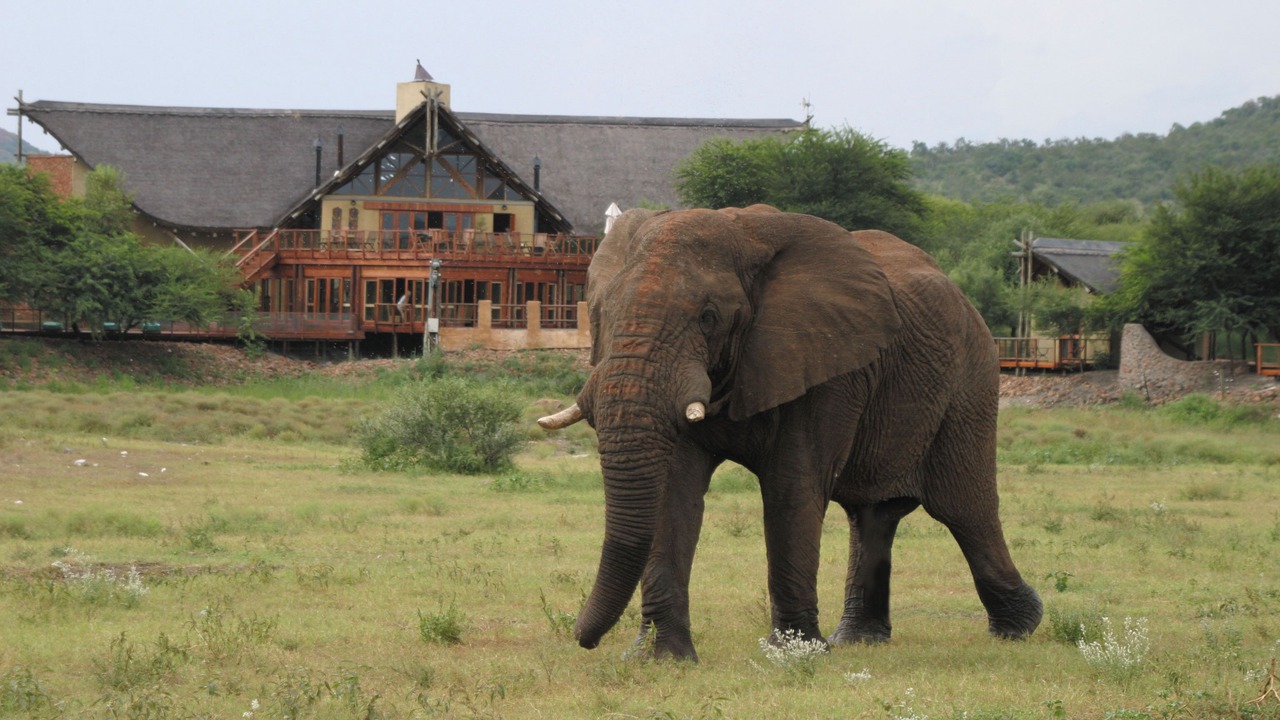 Photo of Others in Madikwe Game Reserve