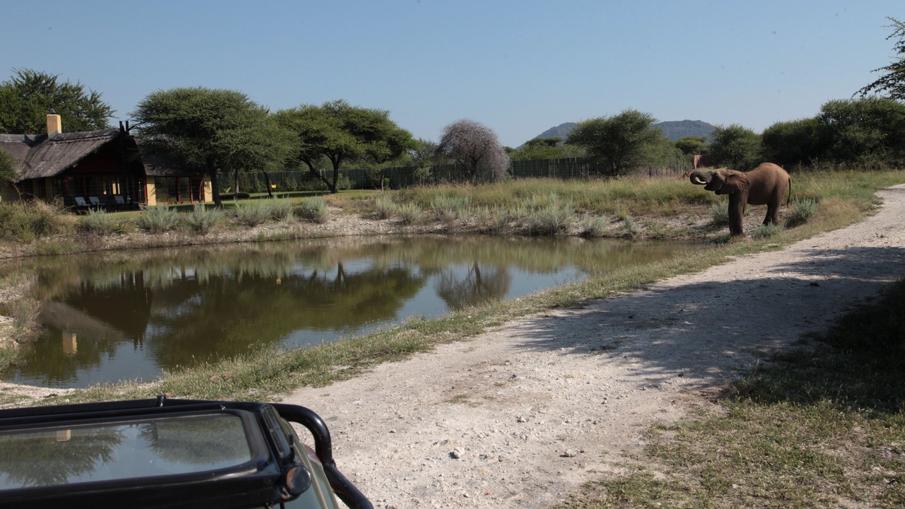 Photo of Outdoor in Madikwe Game Reserve