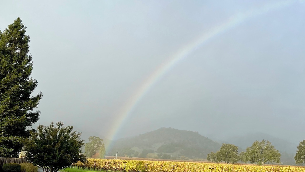 Photo of Outdoor in Napa