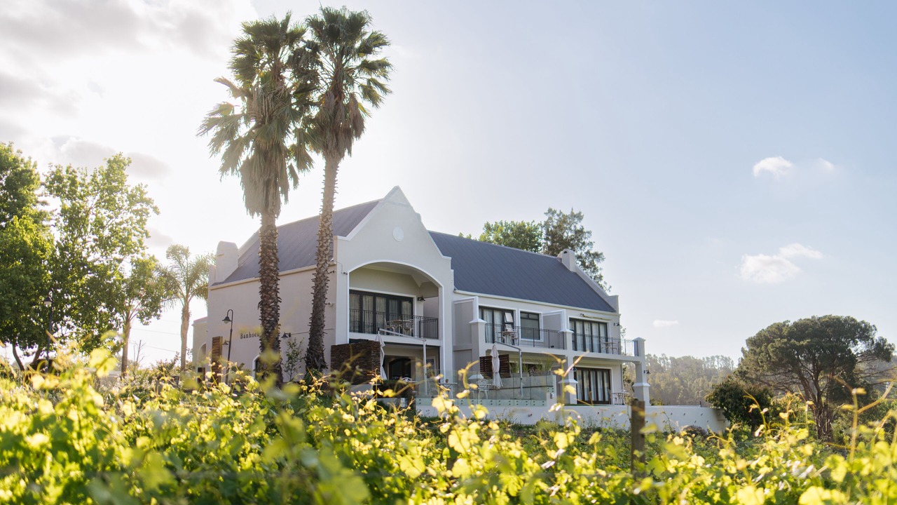 Photo of Outdoor in Cape Winelands