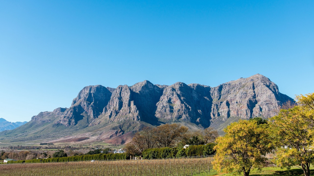 Photo of Others in Cape Winelands