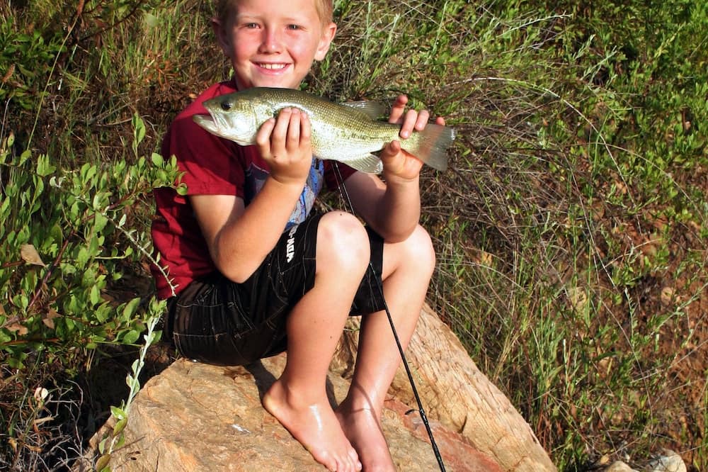 Photo of Others in Ladismith
