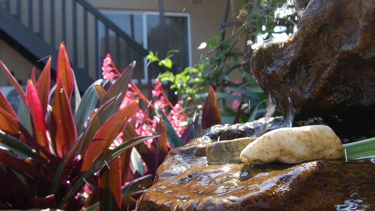 Photo of Outdoor in Durban North