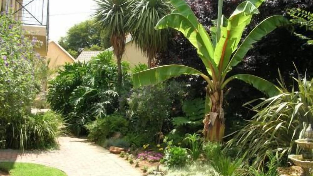 Photo of Outdoor in Ekurhuleni