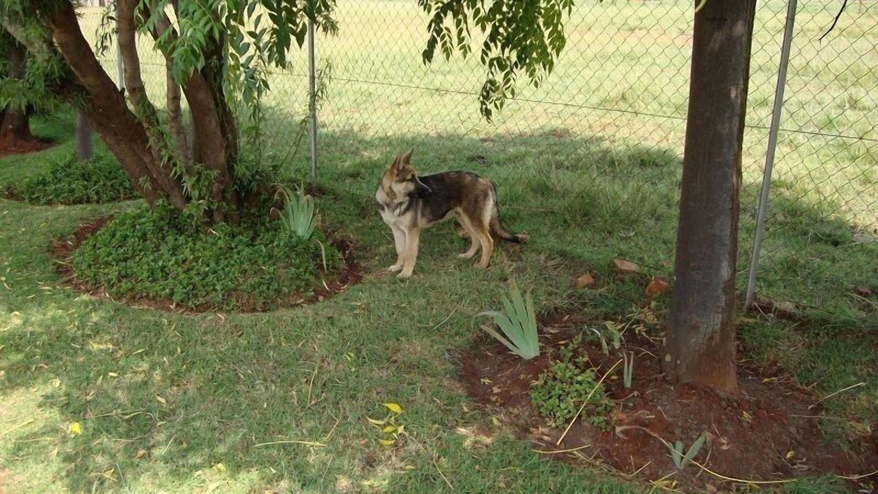 Photo of Outdoor in Benoni