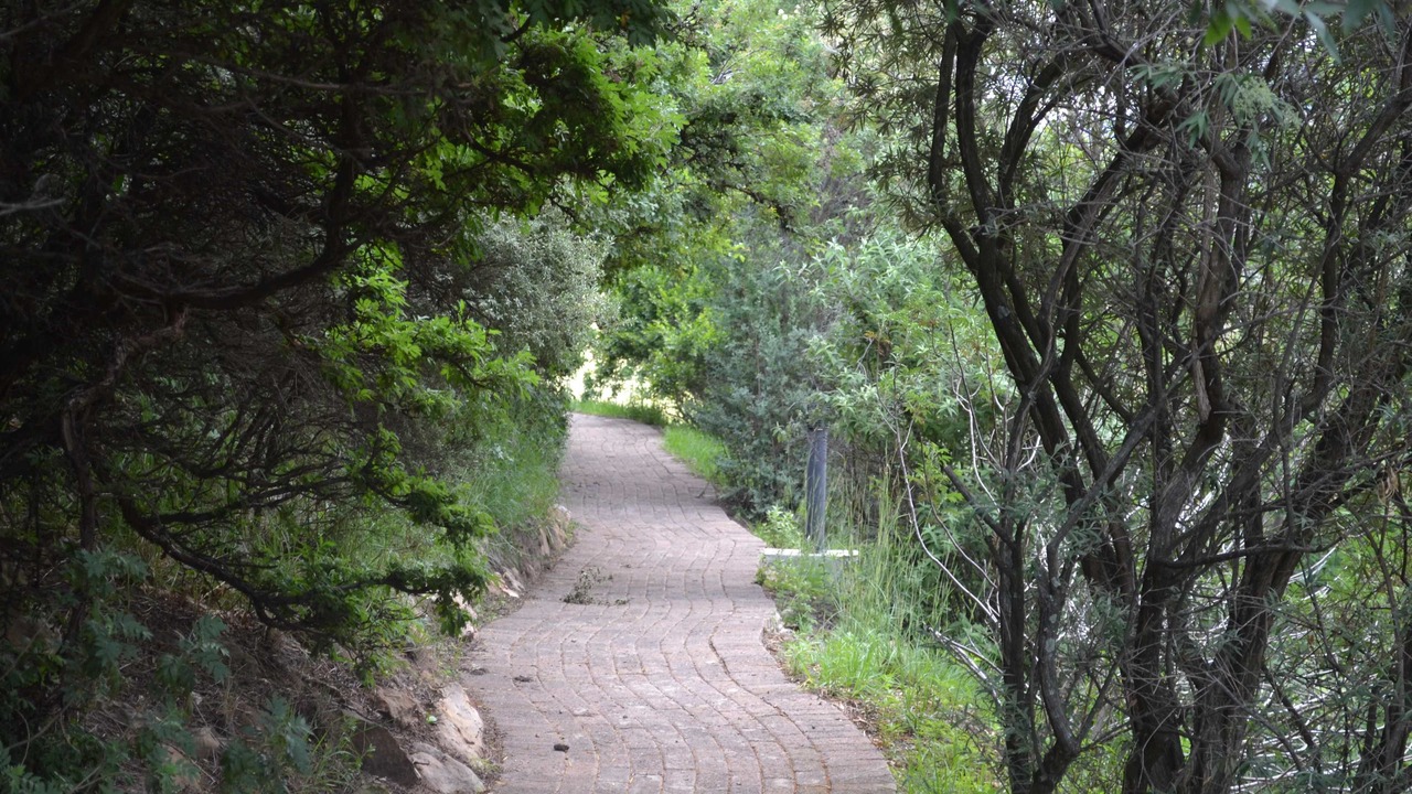 Photo of Outdoor in Golden Gate Highlands National Park