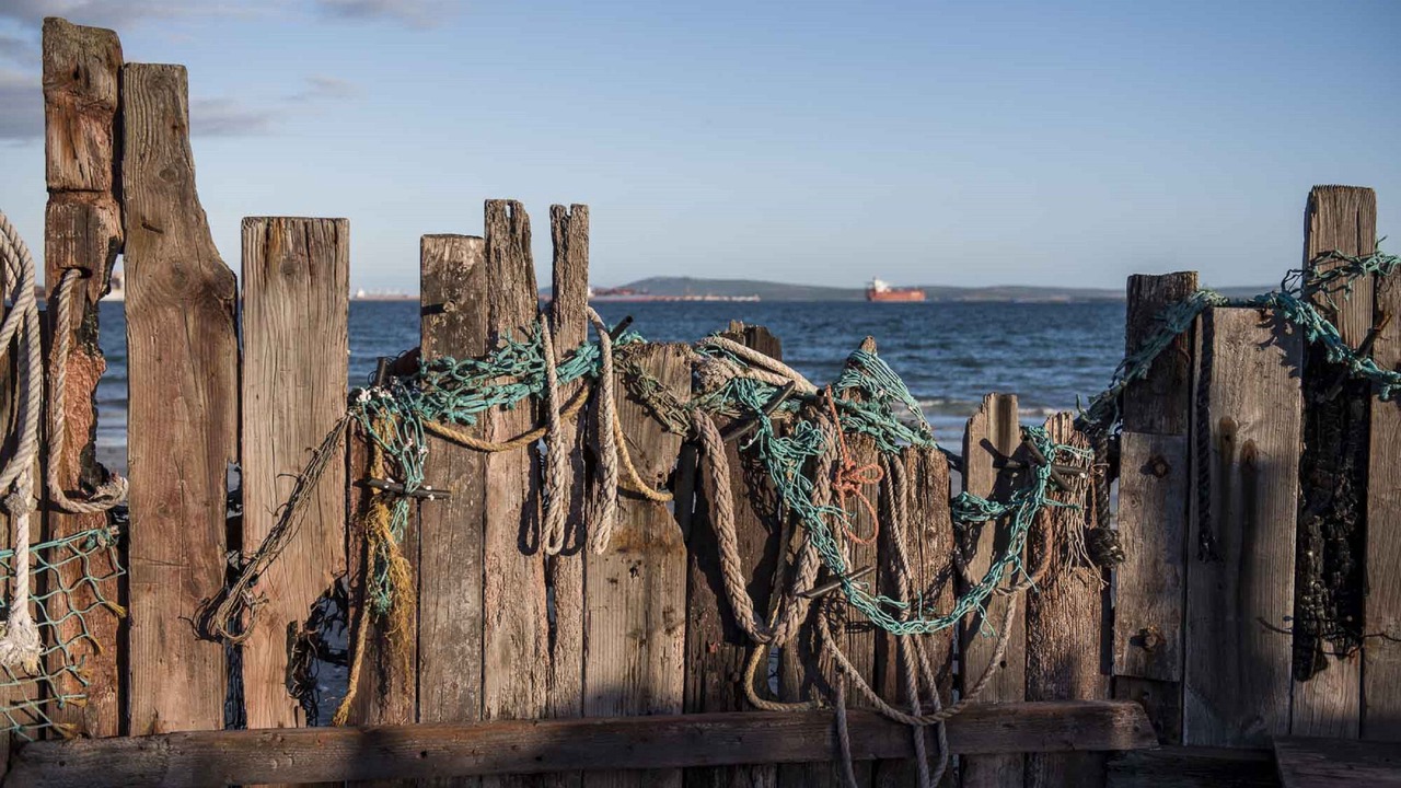 Photo of Others in Saldanha