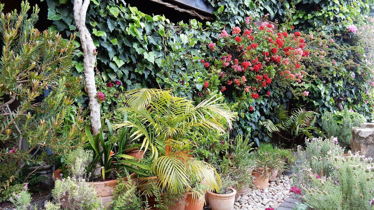 Photo of Outdoor in Knysna