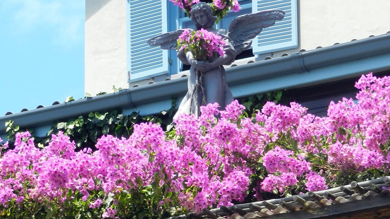 Photo of Outdoor in Knysna