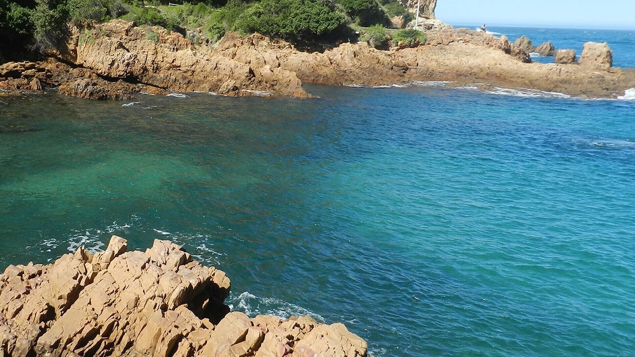 Photo of Others in Knysna