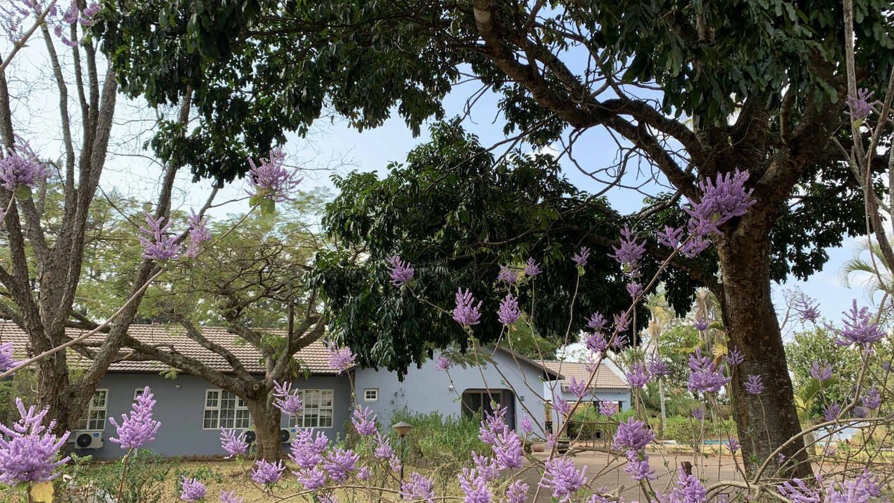 Photo of Outdoor in White River