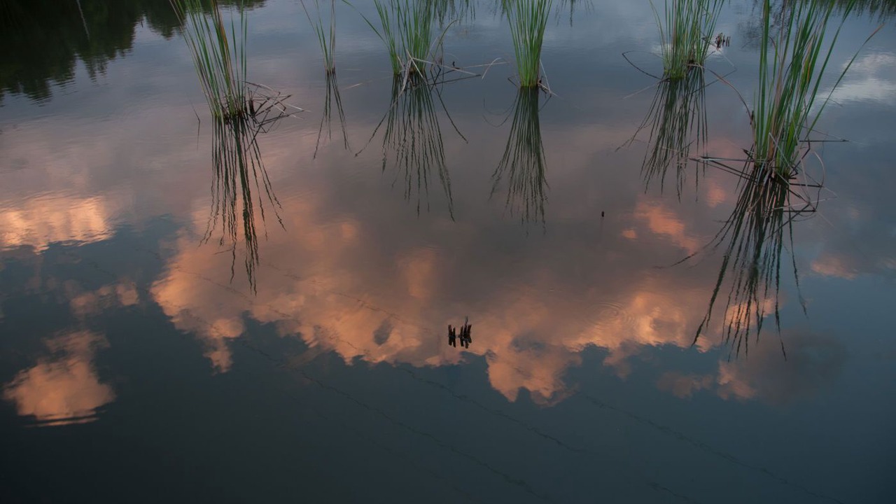 Photo of Outdoor in White River