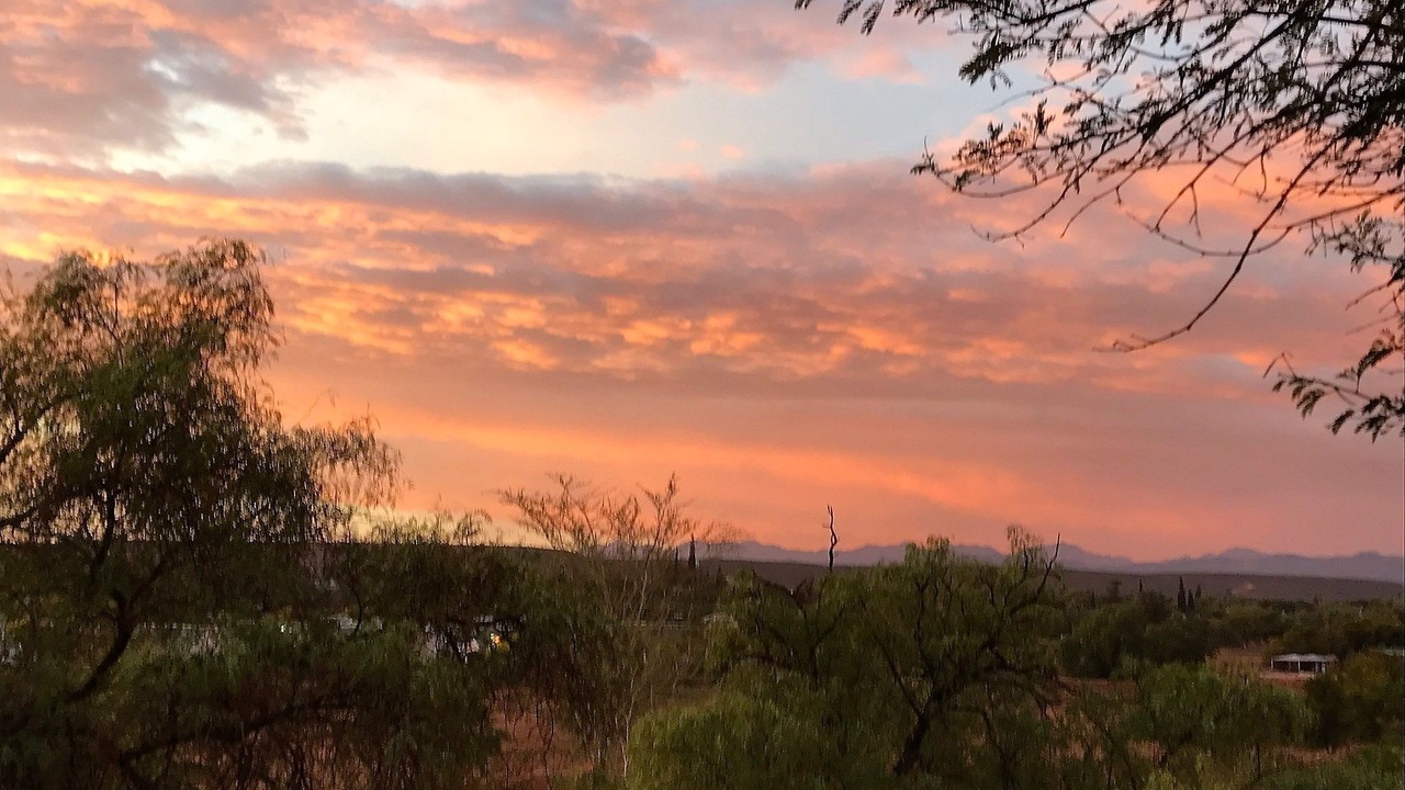 Photo of Others in Oudtshoorn