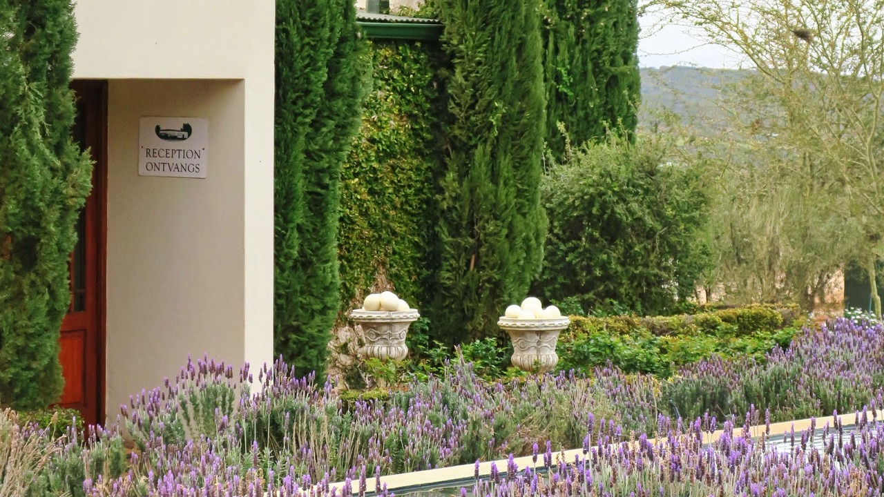 Photo of Outdoor in Schoemanshoek