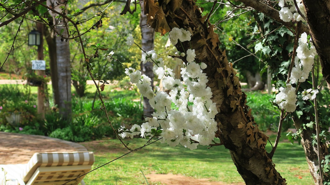 Photo of Outdoor in Schoemanshoek