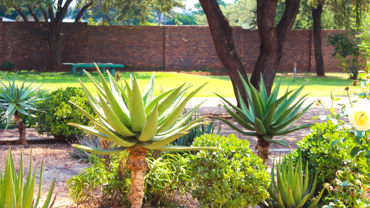 Photo of Outdoor in Polokwane