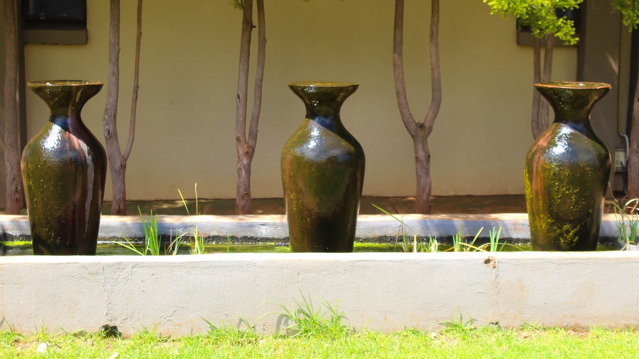 Photo of Outdoor in Polokwane