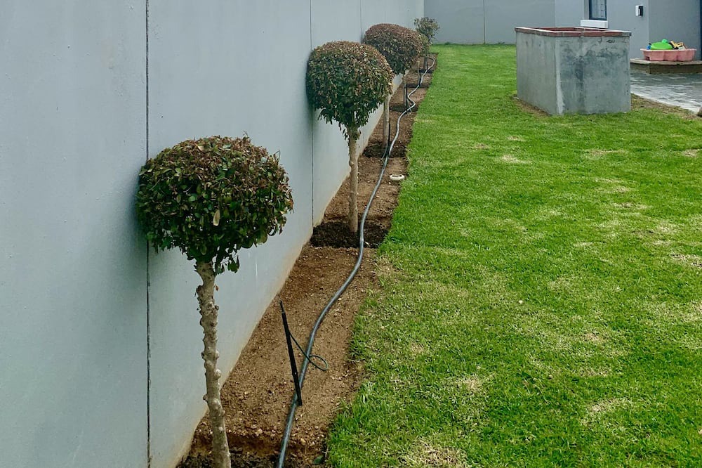 Photo of Outdoor in Paarl