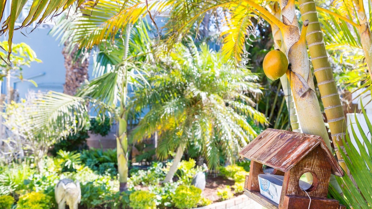 Photo of Outdoor in Summerstrand