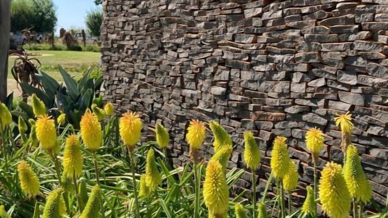 Photo of Outdoor in Metsimaholo