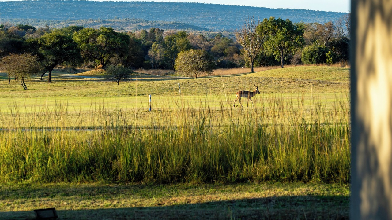 Photo of Others in Modimolle