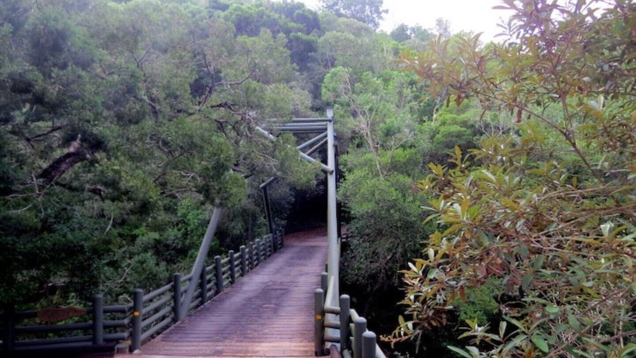 Photo of Outdoor in Victoria Bay
