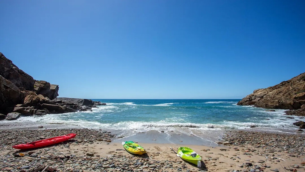 Photo of Others in Victoria Bay