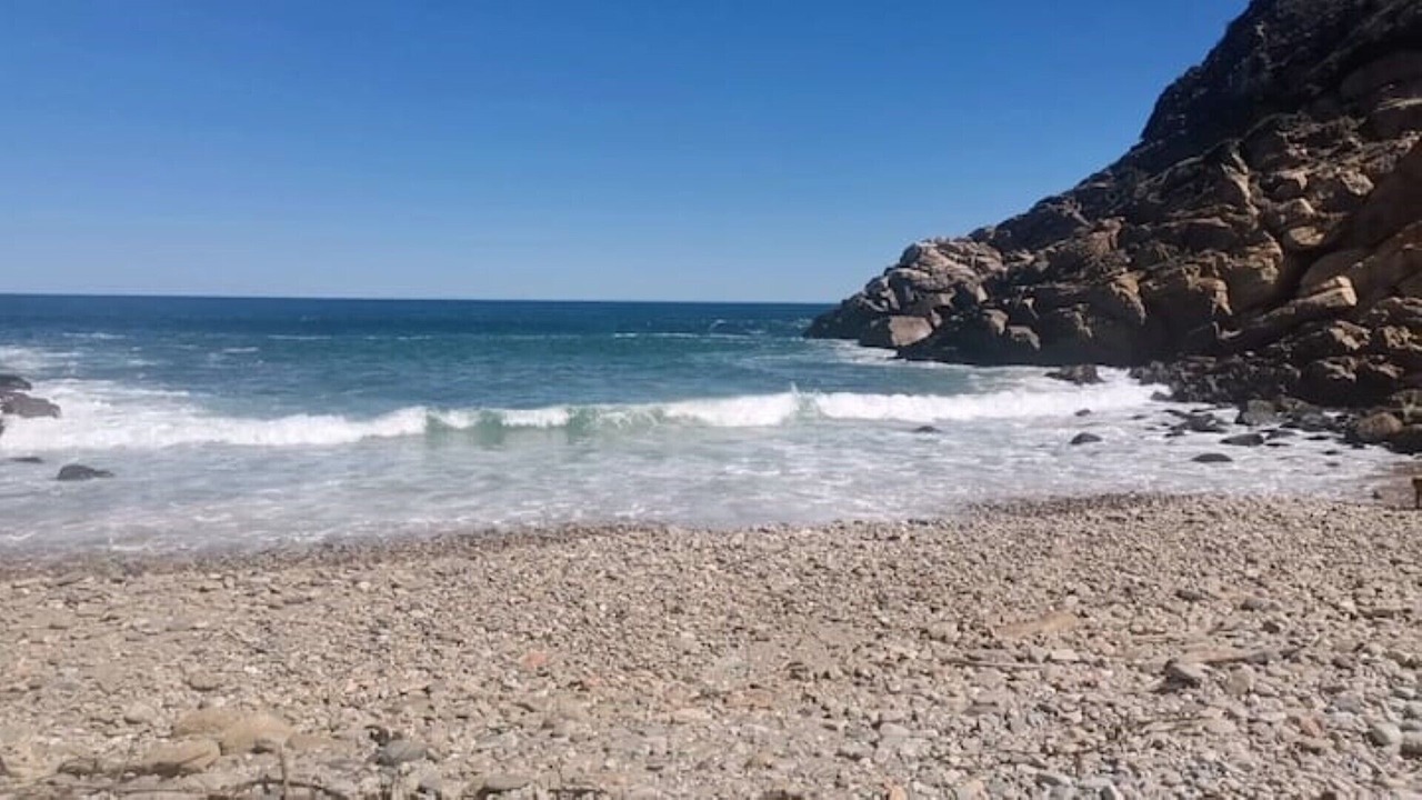 Photo of Others in Victoria Bay