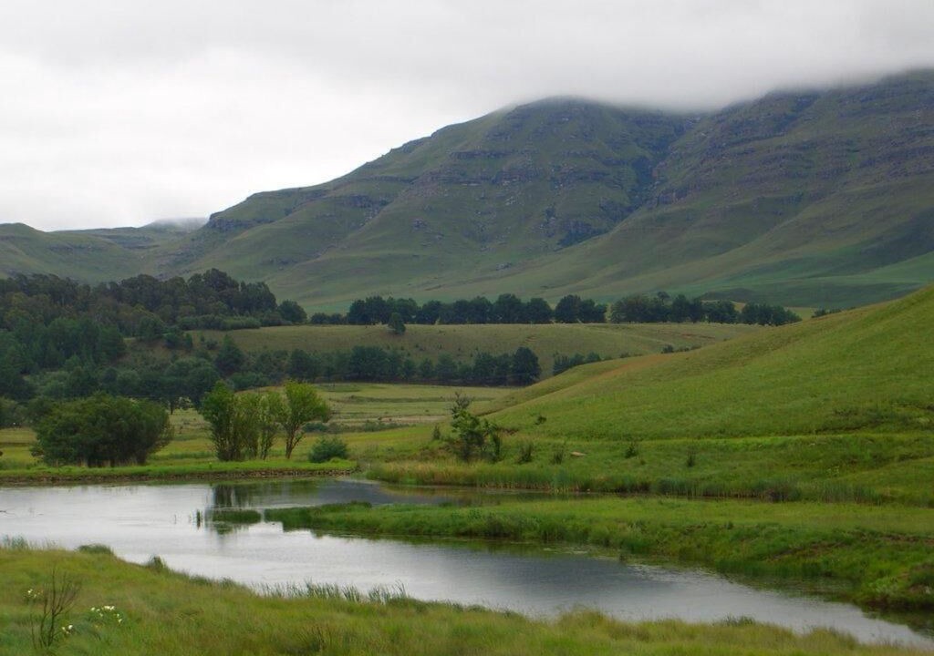 Photo of Others in Drakensberg Gardens