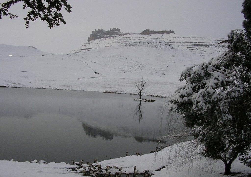 Photo of Others in Drakensberg Gardens