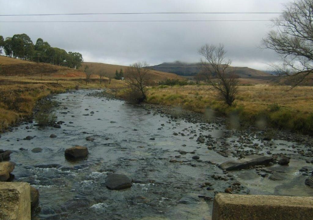 Photo of Others in Drakensberg Gardens