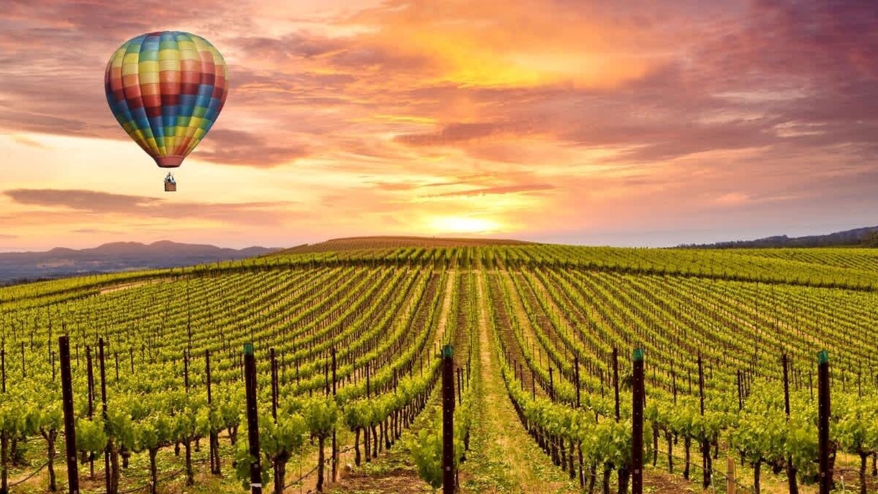Photo of Others in Napa