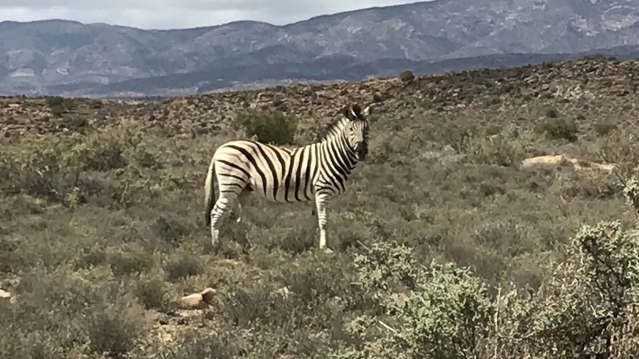 Photo of Others in Montagu