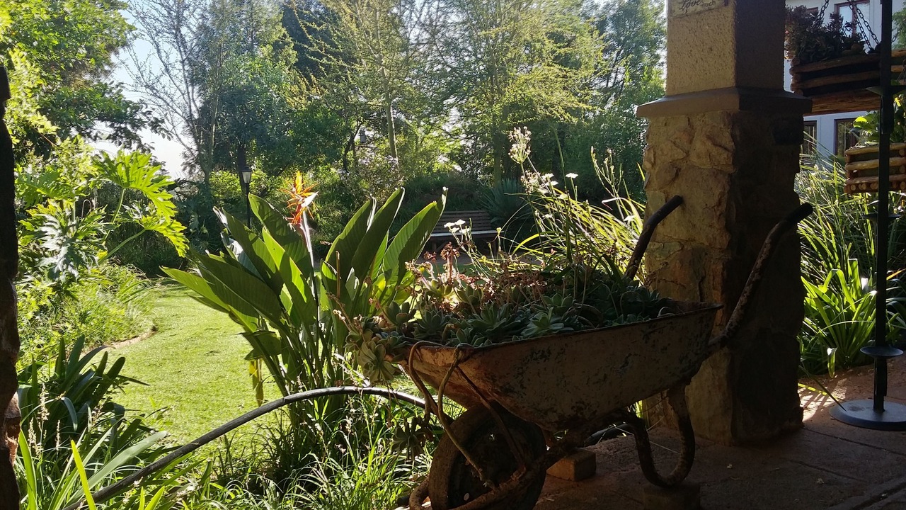 Photo of Outdoor in Lanseria