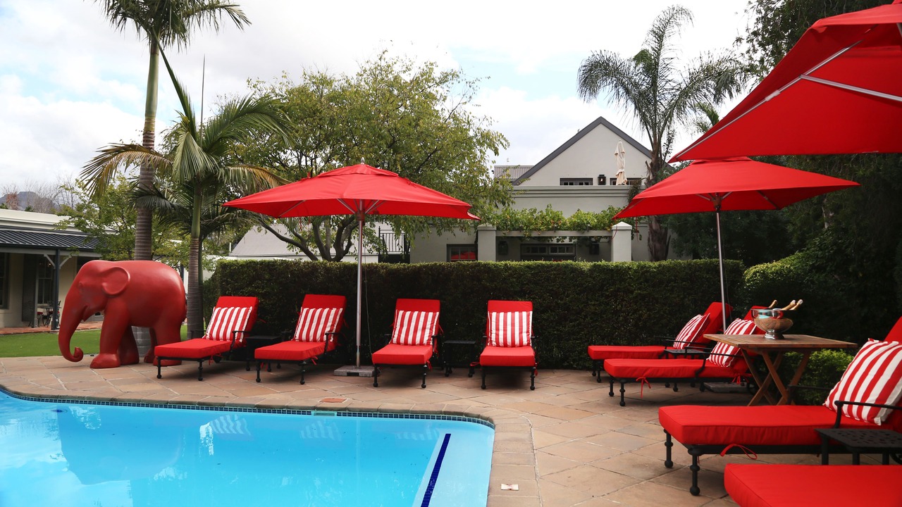 Photo of Outdoor in Franschhoek