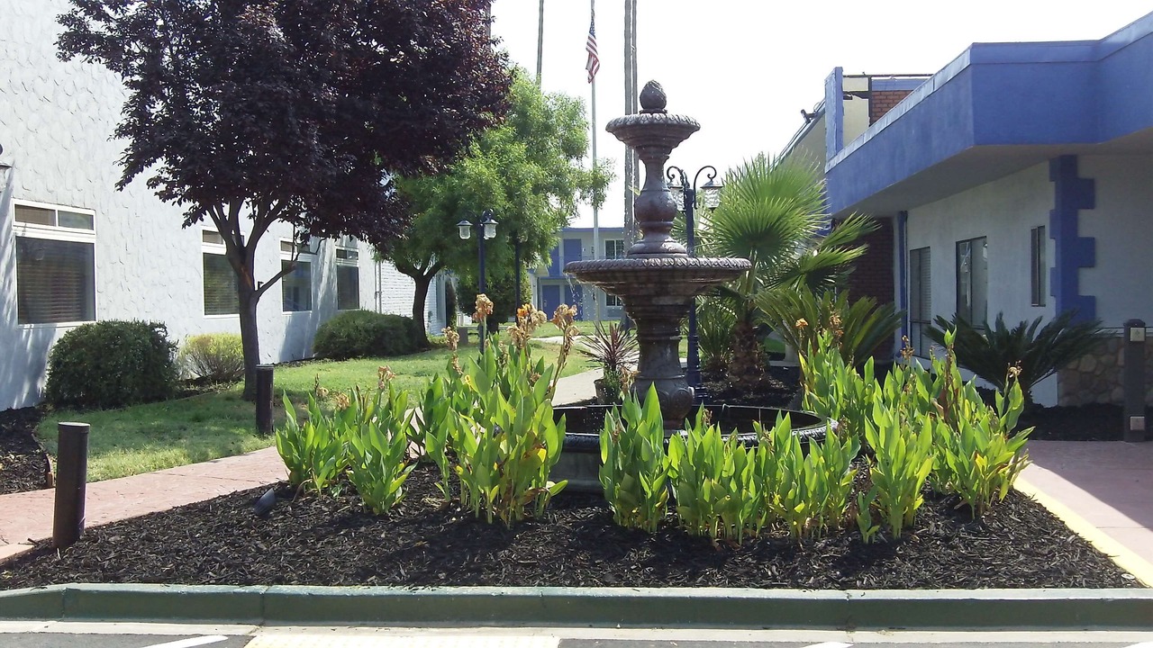 Photo of Outdoor in Woodlake