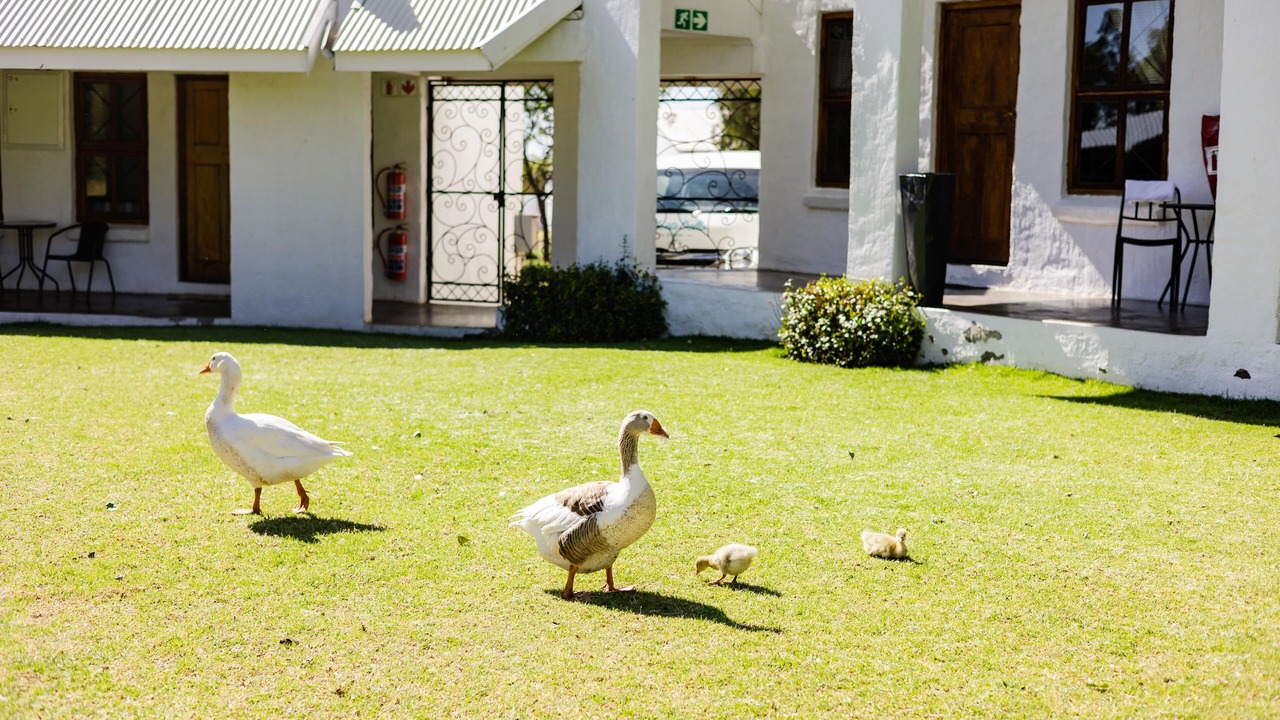 Photo of Outdoor in Bloemfontein