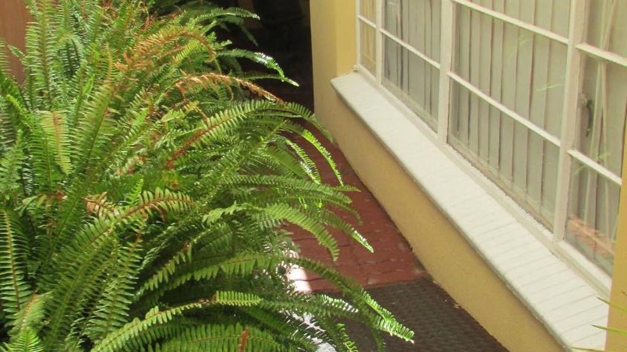 Photo of Outdoor in Upington