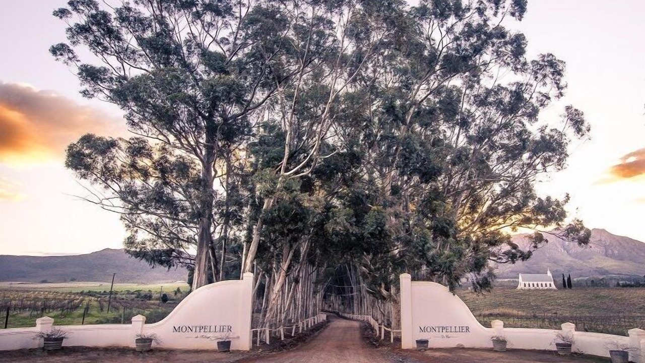 Photo of Outdoor in Tulbagh