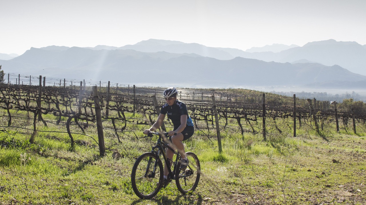 Photo of Outdoor in Cape Winelands