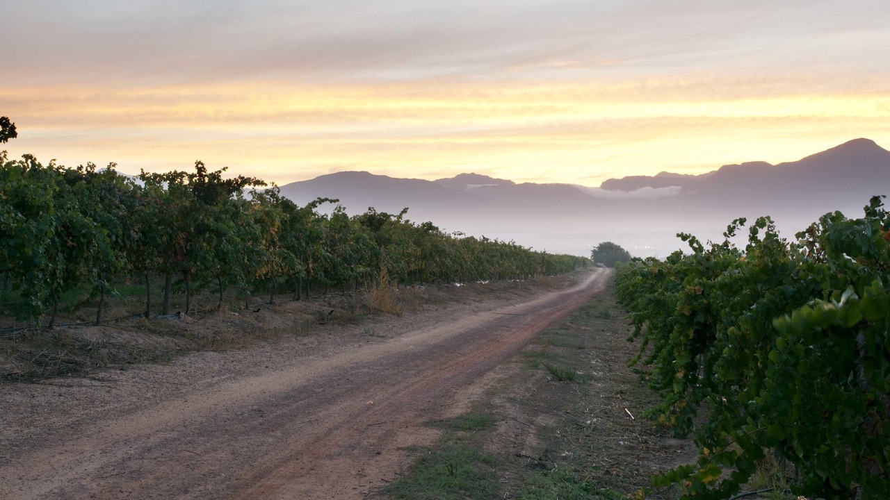 Photo of Others in Paarl