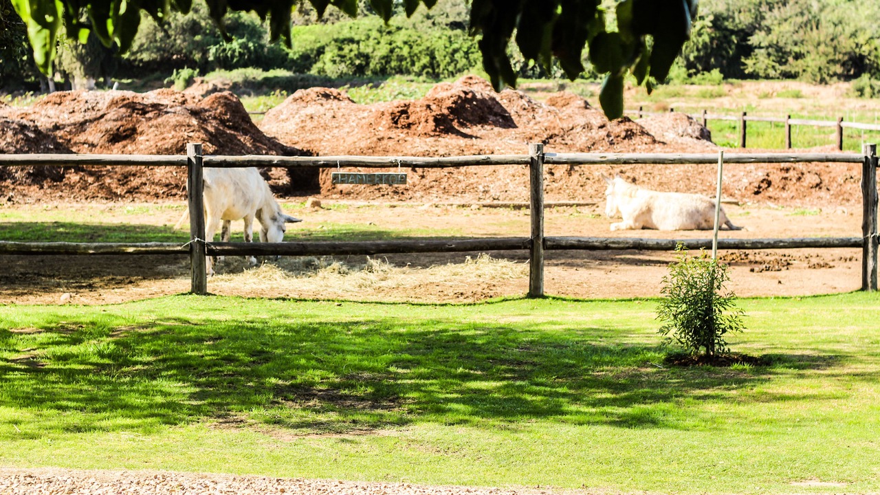 Photo of Outdoor in Addo