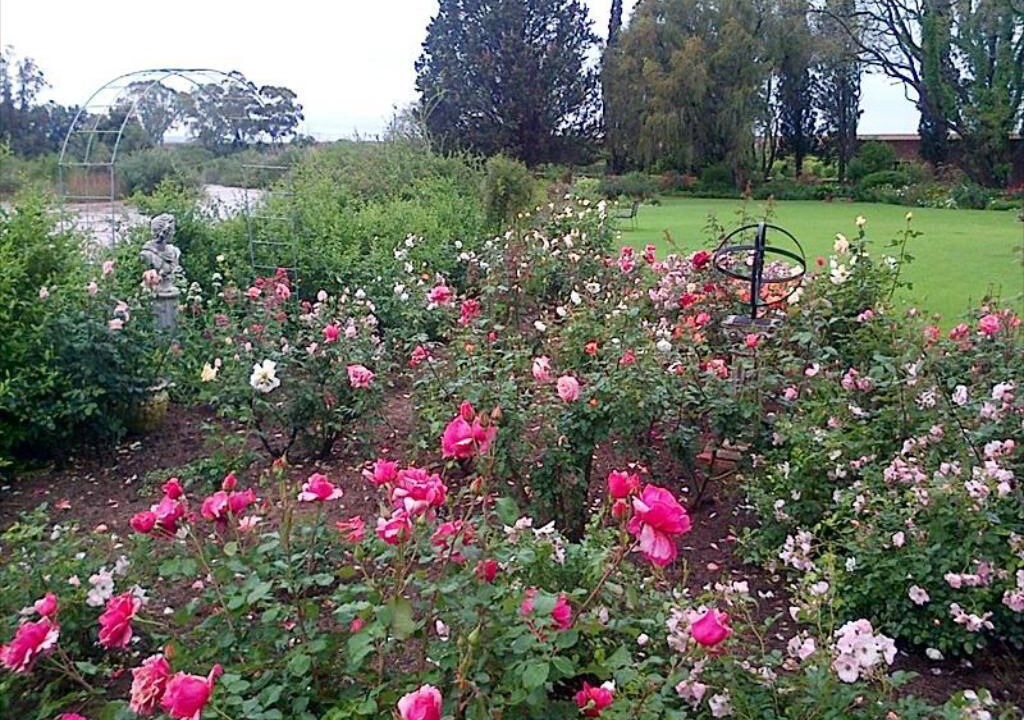 Photo of Outdoor in Addo
