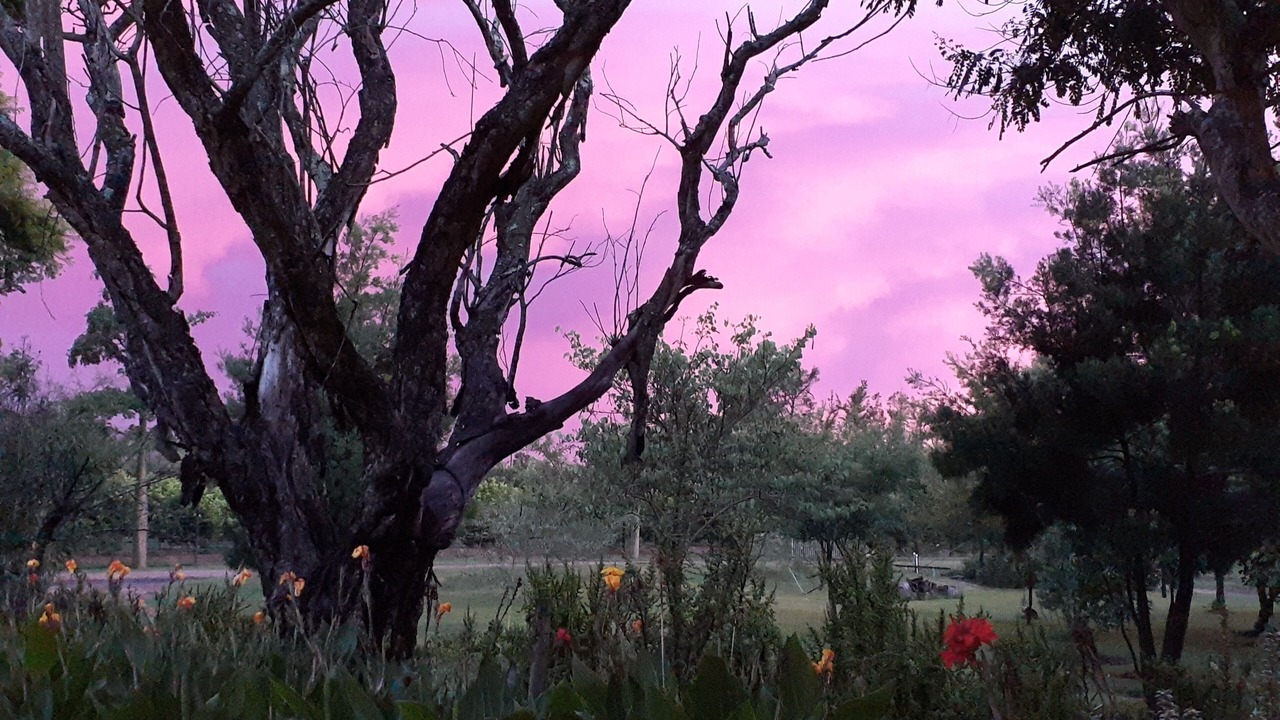 Photo of Outdoor in Addo