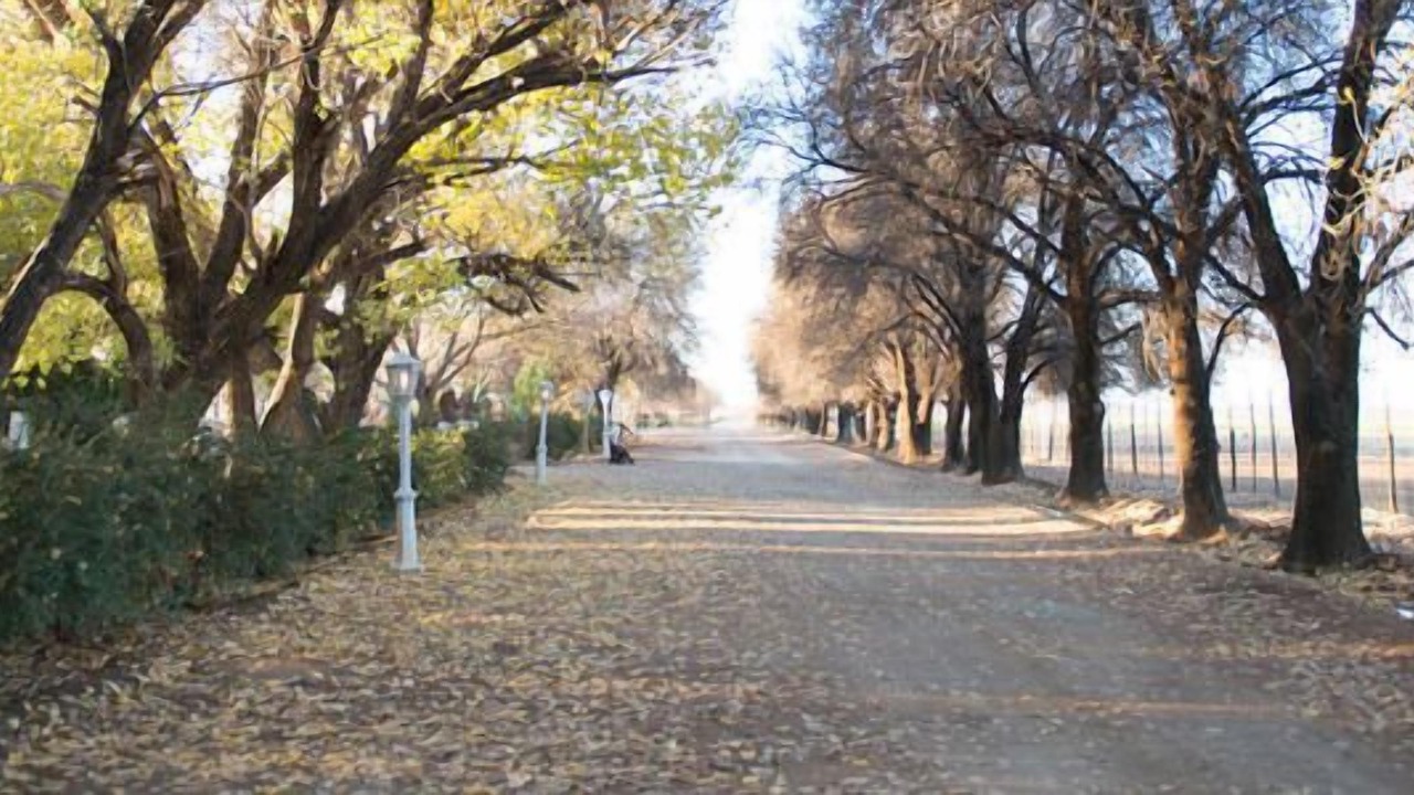 Photo of Outdoor in Hanover