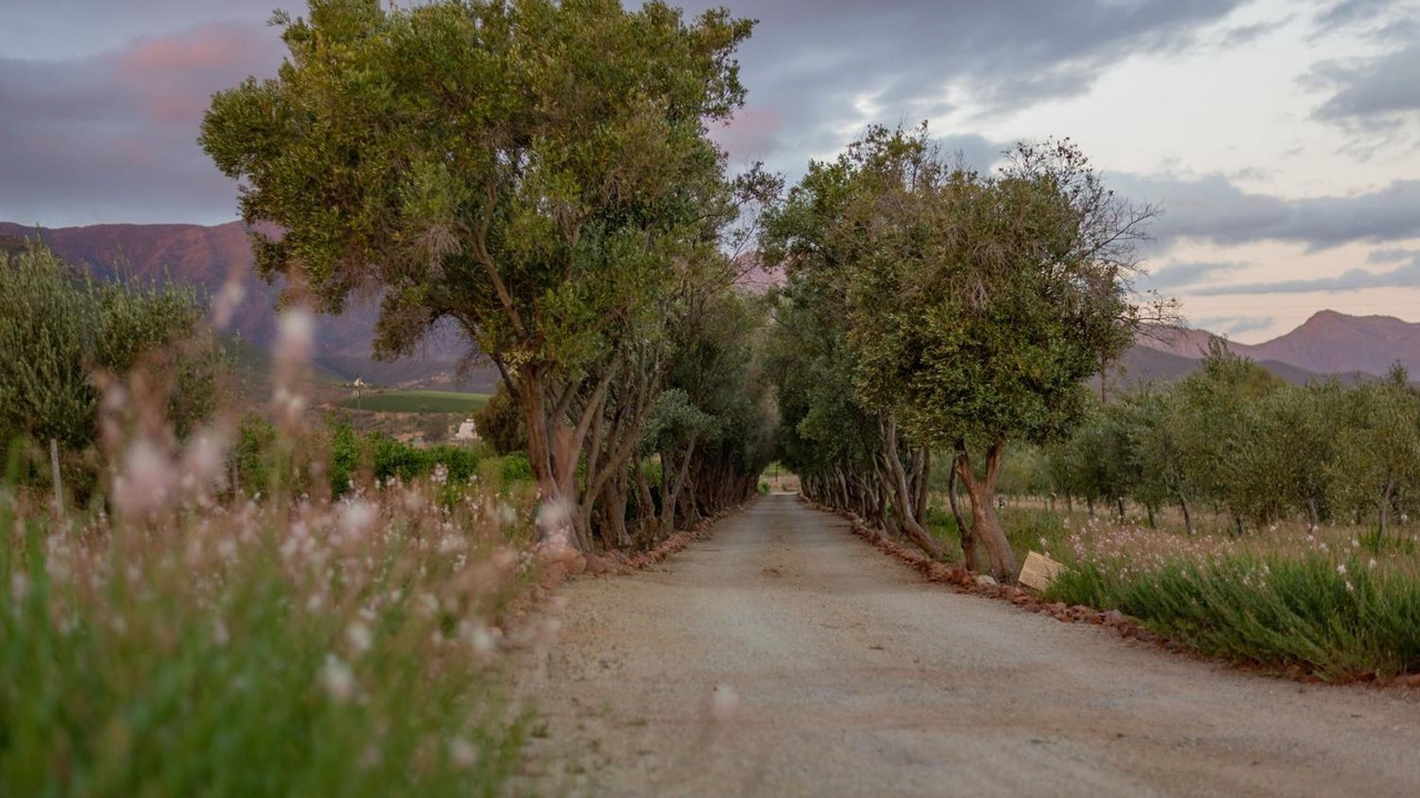 Photo of Outdoor in Langeberg