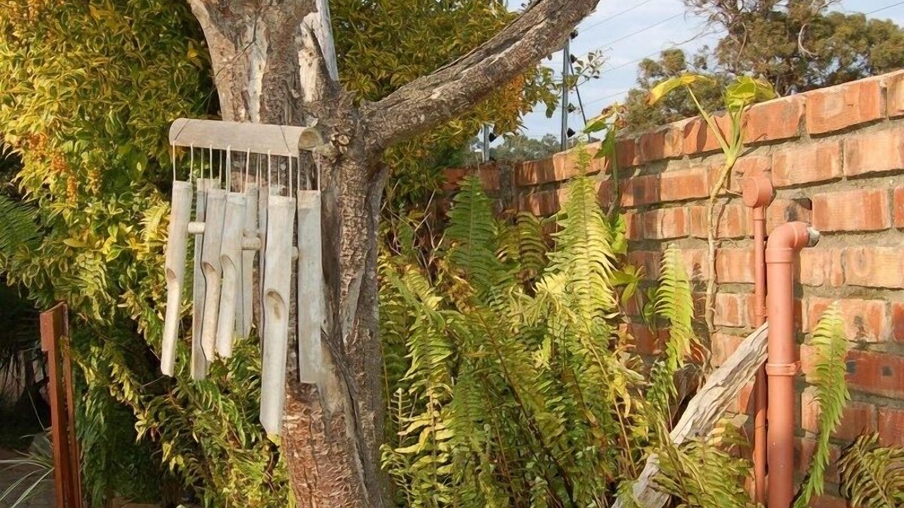 Photo of Outdoor in Walmer