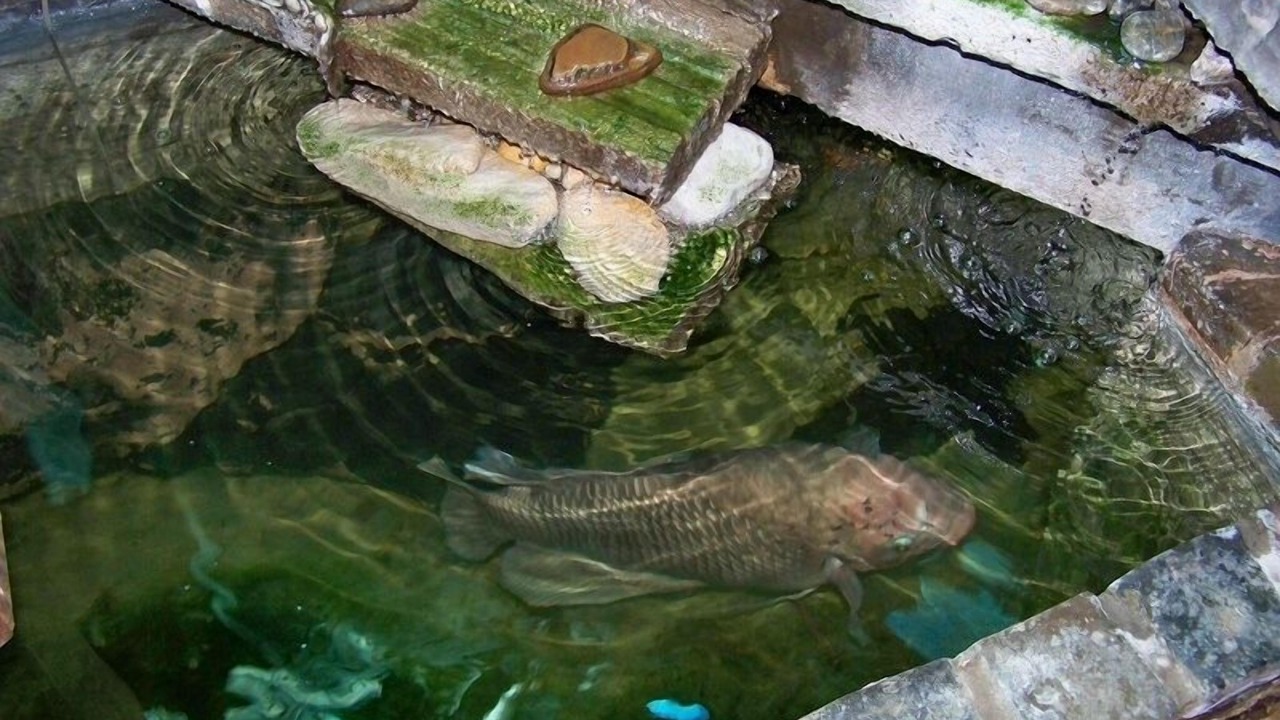 Photo of Outdoor in Walmer