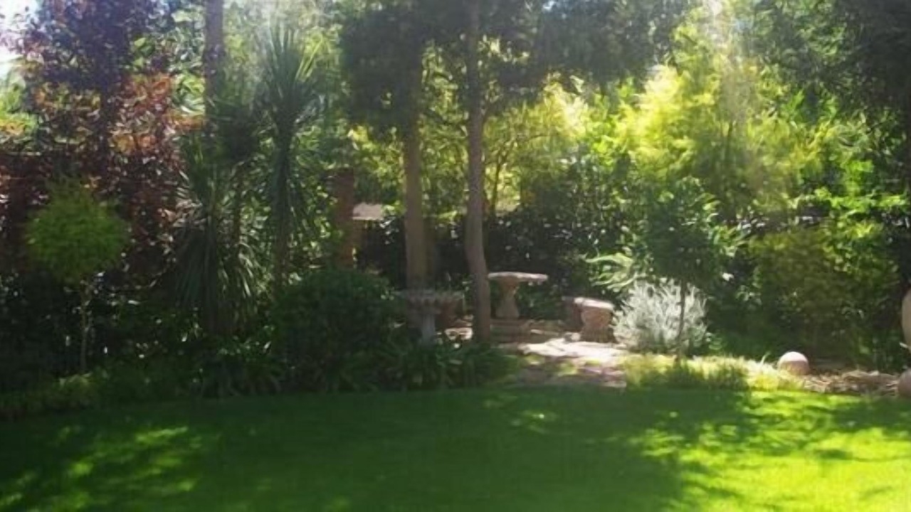 Photo of Outdoor in Waverley