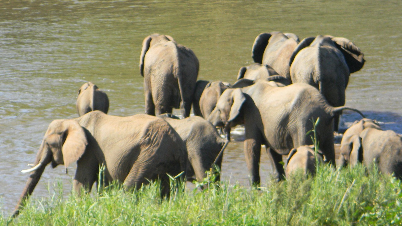 Photo of Others in Malelane